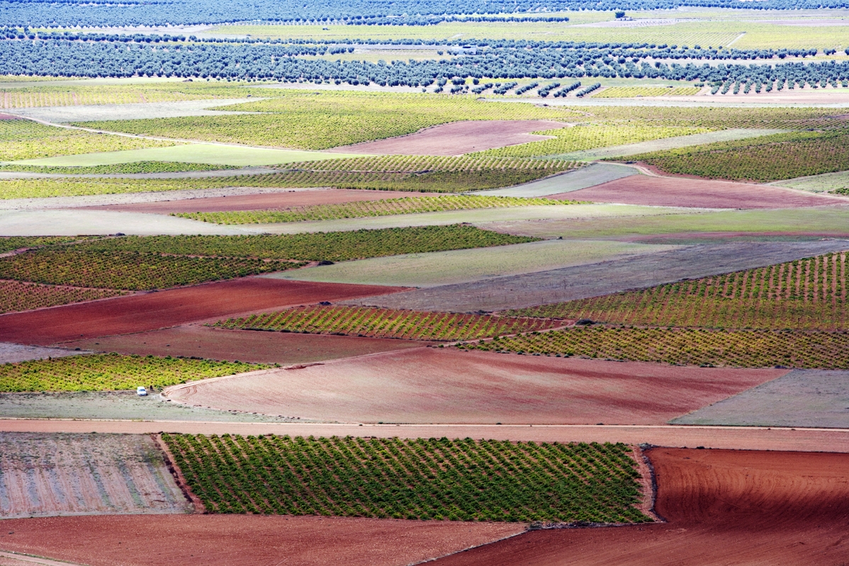 Farmland, La Mancha