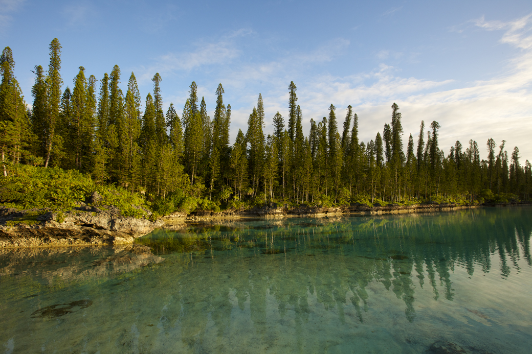 Oro Natural swimming pool
