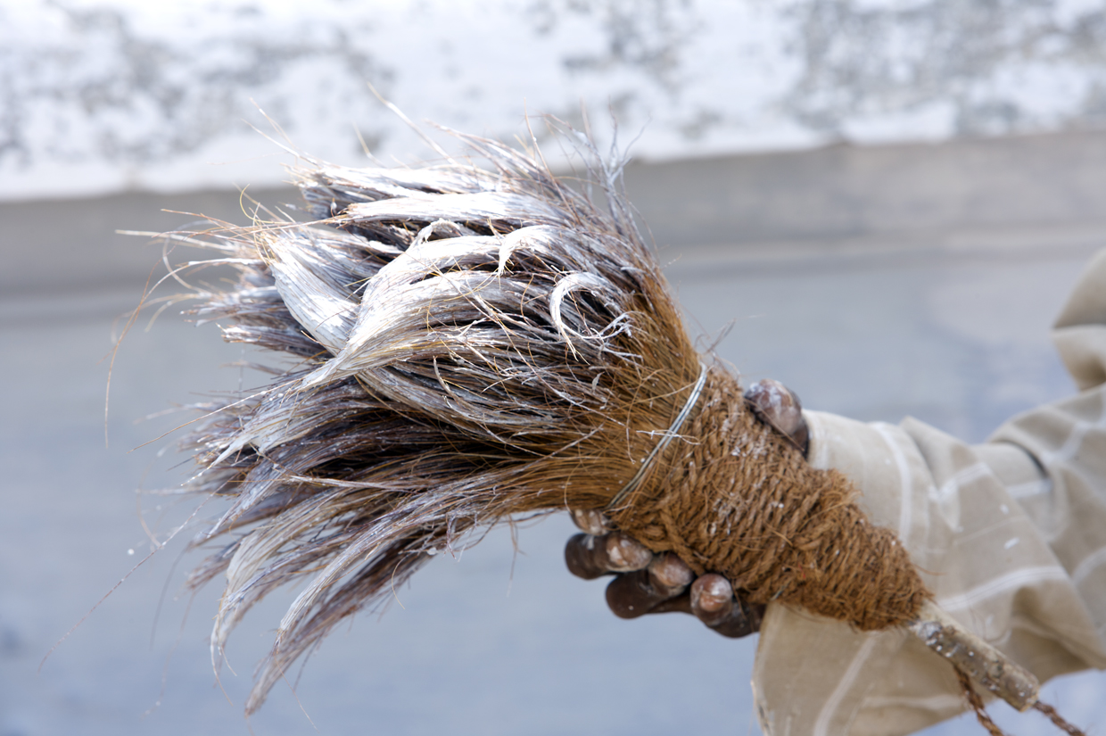 Coconut fibre paint brush